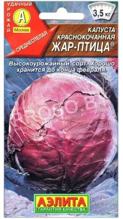 Капуста краснокочанная Жар-птица