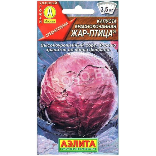 Капуста краснокочанная Жар-птица