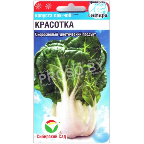 Капуста пак-чой Красотка