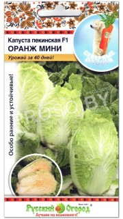 Капуста пекинская Оранж мини F1