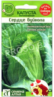 Капуста белокочанная Сердце буйвола