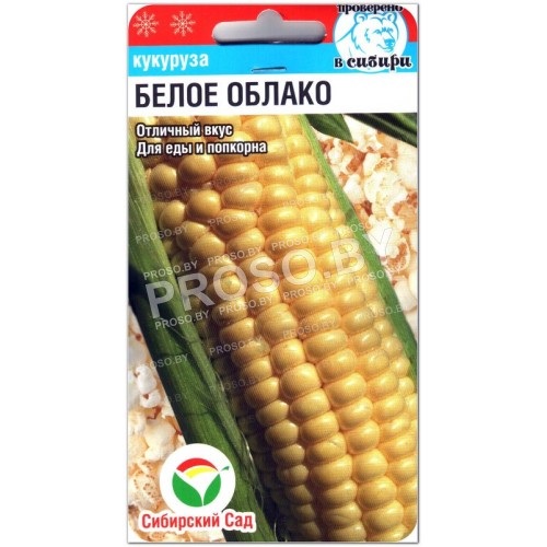 Кукуруза Белое облако-1