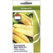 Кукуруза BSS 1075 F1