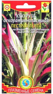 Кукуруза декоративная Пестрая лента F1