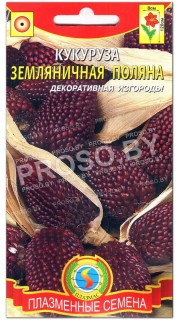 Кукуруза декоративная Земляничная поляна