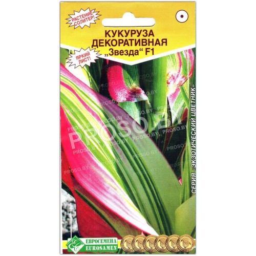 Кукуруза декоративная Звезда F1