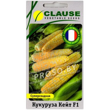 Кукуруза Кейт F1