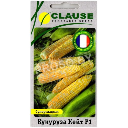 Кукуруза Кейт F1