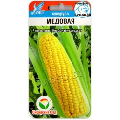 Кукуруза Медовая
