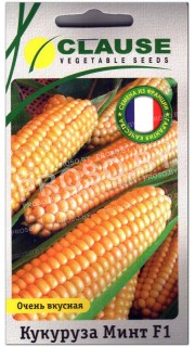 Кукуруза Минт F1