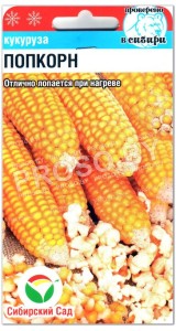 Кукуруза Попкорн