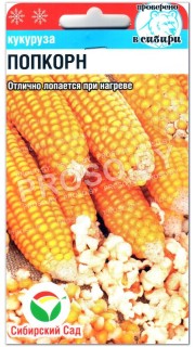 Кукуруза Попкорн
