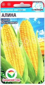 Кукуруза сахарная Алина