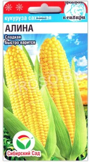 Кукуруза сахарная Алина