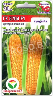 Кукуруза сахарная ГХ 5704 F1