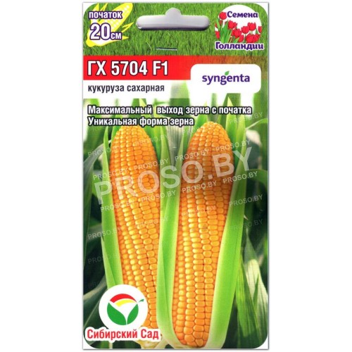 Кукуруза сахарная ГХ 5704 F1