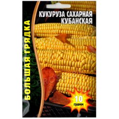 Кукуруза сахарная Кубанская