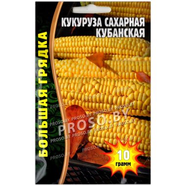Кукуруза сахарная Кубанская