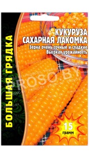 Кукуруза Сахарная лакомка