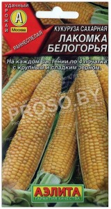 Кукуруза сахарная Лакомка белогорья