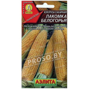 Кукуруза сахарная Лакомка белогорья