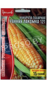 Кукуруза сахарная Ранняя лакомка 121