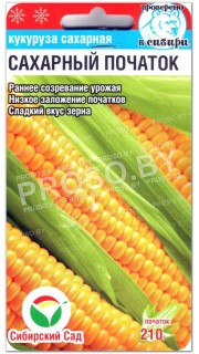 Кукуруза Сахарный початок