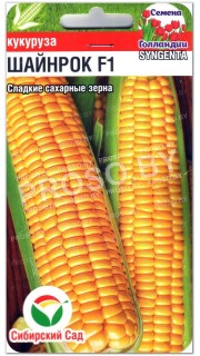 Кукуруза Шайнрок F1