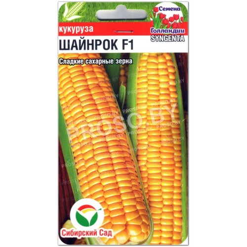 Кукуруза Шайнрок F1