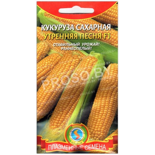 Кукуруза Утренняя песня F1-1