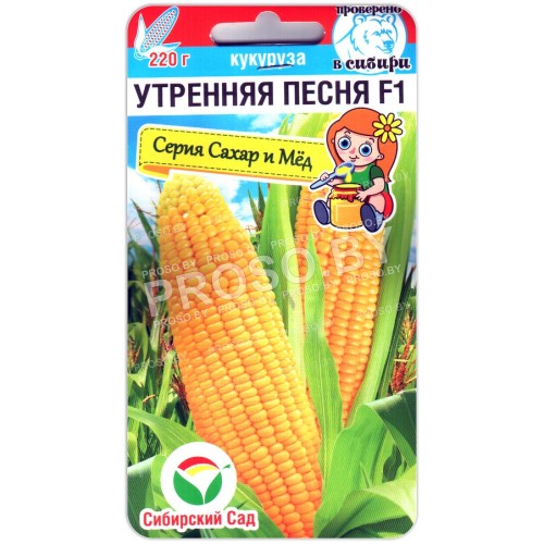 Кукуруза Утренняя песня F1
