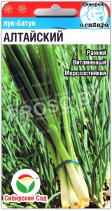 Лук батун Алтайский