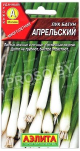 Лук батун Апрельский
