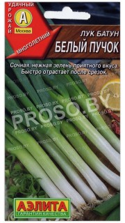 Лук батун Белый пучок