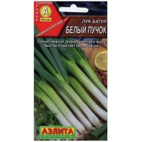 Лук батун Белый пучок