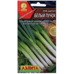Лук батун Белый пучок