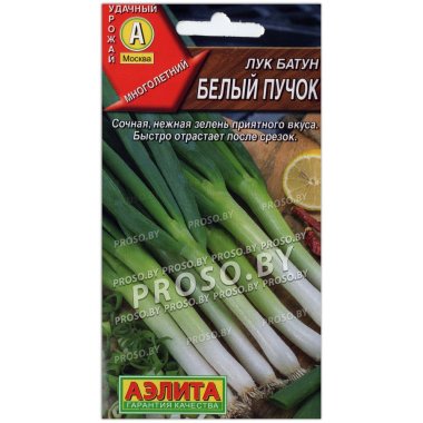 Лук батун Белый пучок