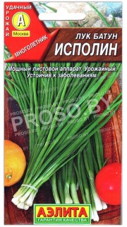 Лук батун Исполин