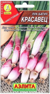 Лук батун Красавец