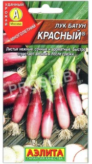 Лук батун Красный