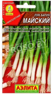Лук батун Майский