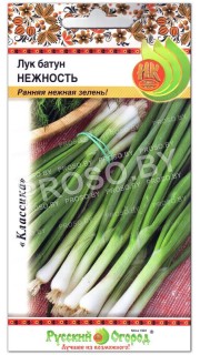 Лук батун Нежность