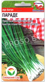Лук батун Параде