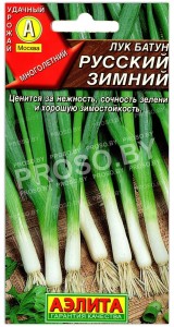 Лук батун Русский зимний
