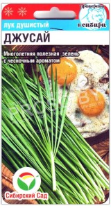 Лук душистый Джусай