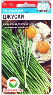 Лук душистый Джусай