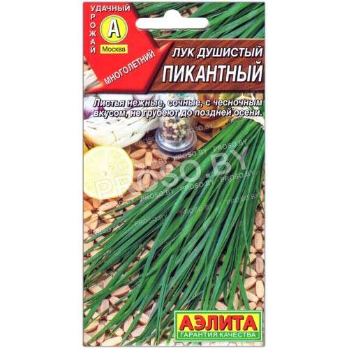 Лук душистый Пикантный