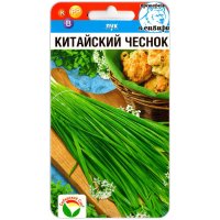 Лук душистый Китайский чеснок