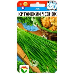 Лук душистый Китайский чеснок