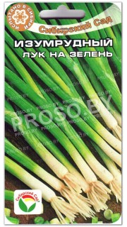 Лук на зелень Изумрудный